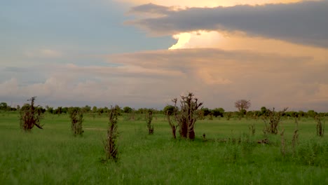 Beautiful-sunset-and-large-weather-front-in-the-African-savanna,-Botswana