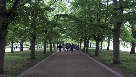 Menschen-Gehen-An-Sonnigen-Tagen-Im-Schatten-Der-Alley-Bäume-Im-Greenwich-Park