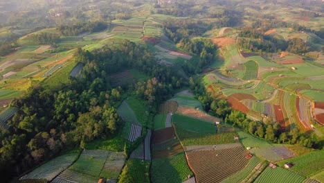 Luftbild-Zeigt-Gemüseplantagen,-Die-Auf-Hügeln-Des-Mount-Sumbing-Bei-Sonnenlicht-Wachsen