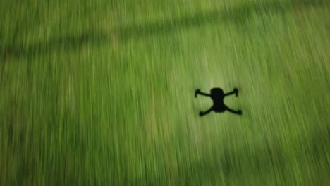 Shadow-silhouette-of-drone-flying-above-grass-field-into-treeline