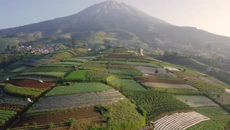 aerial-drone-view-of-a-vegetable-plantation-on-the-slopes-of-Mount-Sumbing,-Central-Java,-Indonesia