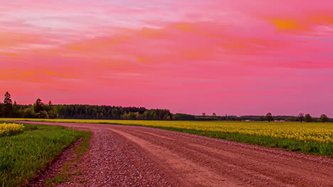 Zeitraffer-Des-Rosafarbenen-Himmels-Nach-Sonnenuntergang-Auf-Dem-Ländlichen-Bauernhoffeld-Mit-Wachsendem-Raps