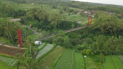 POI-drone-shot-of-metal-suspension-bridge-build-over-valley-with-river-on-the-bottom-and-surrounded-by-trees-and-vegetable-plantation