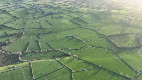 Irische-Landschaft-2---Grüne-Felder-Und-Steinmauern---County-Kerry---Stabilisierte-Droneview-In-4k