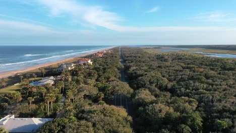 Drone-Descend-Over-Dense-Trees-At-Palm-Beach-In-Florida,-USA