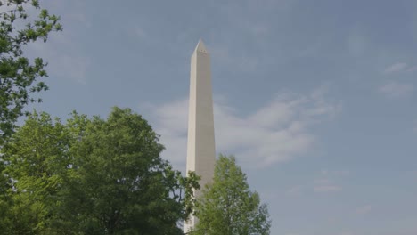 A-revealing-shot-of-the-Washington-Monument-over-some-trees-with-a-blue-sky-on-a-spring-day