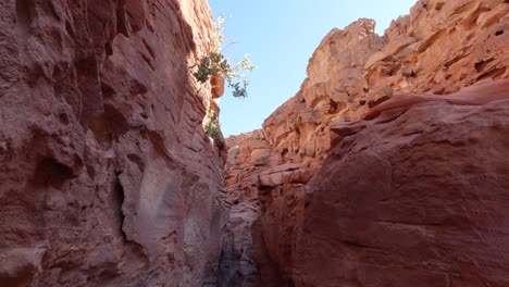 A-wide-shot-from-inside-the-coloured-Canyon-in-Egypt,-tilting-down-on-a-bright-sunny-day