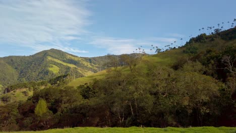 Ein-Schwenk-Der-Landschaft-Des-Kaffeegebiets-In-Kolumbien