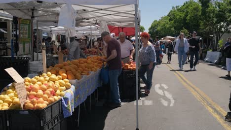 Multiple-people-buying-fresh-fruit-at-campbell-farmers-outdoors-market-at-day-time