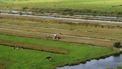 Small-agriculture-tractor-working-in-green-fields-surrounded-by-water-canals,-aerial-view