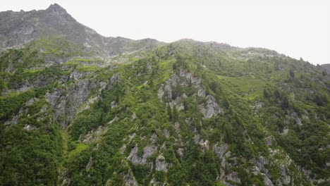 Blick-Auf-Eine-Mit-Tannen-Bewachsene-Bergfassade