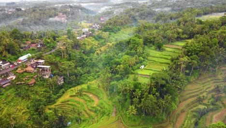 Bellas-Imágenes-Cinematográficas-De-Ubud,-Bali-Drone-Con-Exótica-Terraza-De-Arroz,-Pequeñas-Granjas,-Aldeas-Y-Plantaciones-Agroforestales