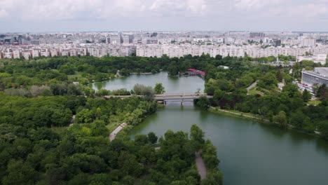 Aerial-View-in-the-park-on-a-sunny-day