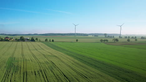 Grünes-Weites-Landwirtschaftliches-Feld,-Windkraftanlagen-Im-Hintergrund,-Schöne-Luftaufnahme