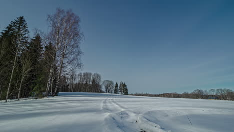 Static-shot-of-snow-covered-field-coniferous-trees-surrounded-by-trees-and-sun-setting-in-timelapse