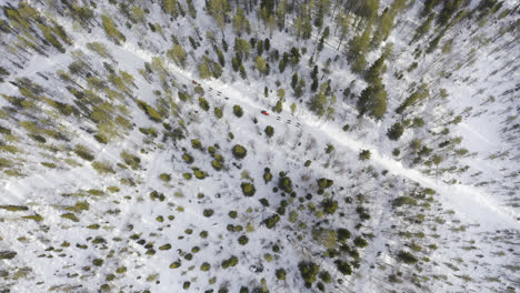 Flying-above-two-sleds-pulled-by-dogs-in-a-green-forest-with-snow-on-the-ground