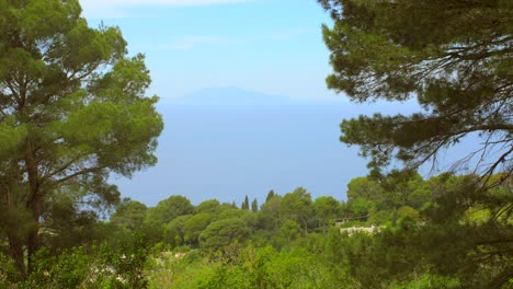 Exuberante-Vegetación-En-Capri,-Italia---Toma-Panorámica