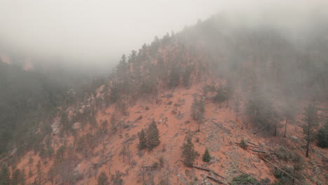 Low-push-in-towards-sparse-trees,-logs-on-Cheyenne-Canyon-peak-covered-in-mist