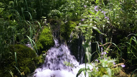 Heavenly-Nature-of-Krka-National-Park-Croatia,-Freshwater-Creek-in-Idyllic-Green-Landscape