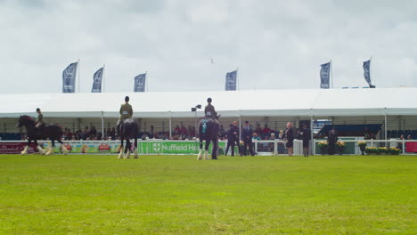 The-Royal-Cornwall-Show-2022-with-a-Group-of-Competitors-Ride-Large-Shire-Horses-Parade-in-front-of-Judges
