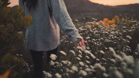 Woman-is-walking-through-a-field-of-flowers,-touching-them-gently-while-moving-in-slow-motion