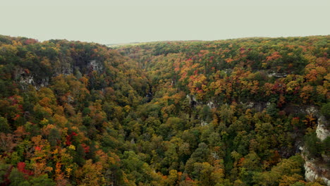 Drone-shot-of-Cloudland-Canyon-in-the-fall-with-multi-colored-trees-and-a-waterfall
