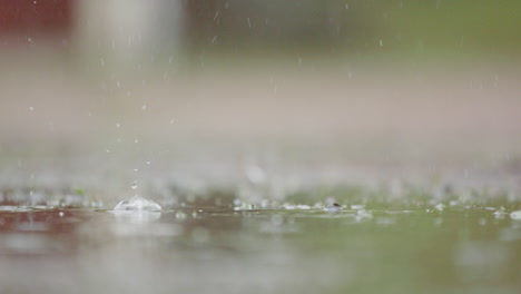 SLOW-MOTION,-CLOSEUP---Heavy-rain-droplets-in-a-puddle