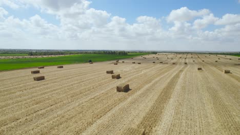 Straw-Fields-At-Sdot-Negev-Settlement's,-Israel