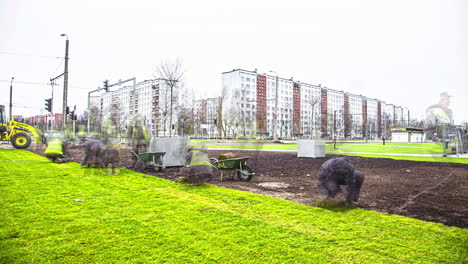 Landscape-Workers-Laying-The-Sod-Grass-In-Urban-Open-Field