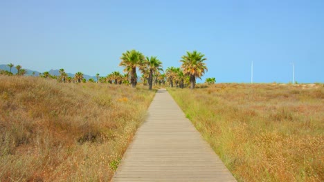 Boardwalk-Between-Grassy-Field-Leading-To-Palm-Trees-In-Pinar-Beach,-Castellon,-Spain
