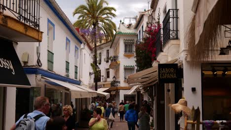 Bonita-Foto-Inclinada-De-Una-Pintoresca-Calle-Con-Palmeras-Y-Flores-Que-Muestra-A-Los-Turistas-De-Compras-En-Málaga