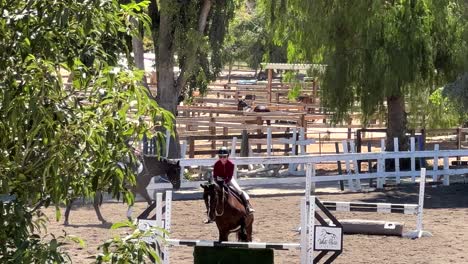 Young-woman-takes-a-horse-over-a-jump-in-equestrian-practice-and-training