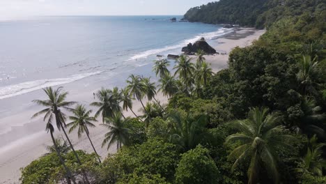 beautiful-static-drone-shot-of-the-jungle-and-beach-of-playa-playitas-on-the-western-shores-of-the-pacific-ocean-and-costa-rica