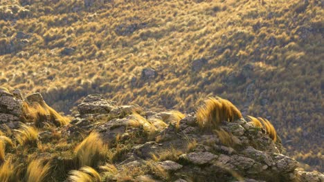 View-of-the-Comechingones-mountains-in-Villa-de-Merlo,-San-Luis,-Argentina