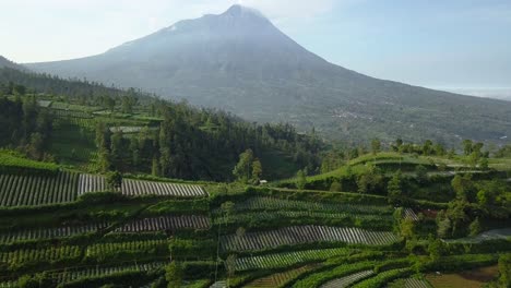 Merapi-vulkan-Mit-Ländlichem-Blick-Auf-Die-Plantage,-Die-Mit-Brocolli,-Kohl,-Kartoffeln-Und-Grünen-Zwiebeln-Bepflanzt-Ist,-Zentral-java,-Indonesien