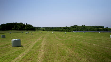 Agricultural-field-after-harvesting-crops-with-hay-bales-wrapped-in-white-plastic-bags--aerial