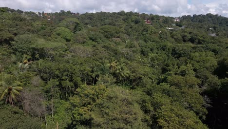Vista-De-Pájaro-Sobre-Un-Bosque-Tropical-Cerca-De-La-Costa-Del-Océano-Pacífico
