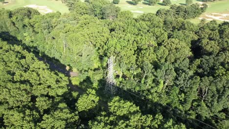 Ein-Luftbild-über-Strommasten-Und-Stromleitungen-Inmitten-Hoher-Grüner-Bäume-An-Einem-Sonnigen-Tag-Auf-Long-Island,-Ny