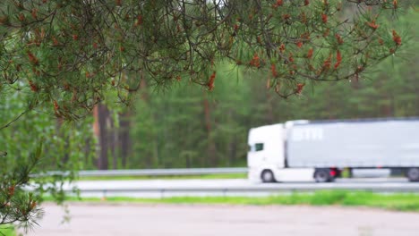 Wet-pine-tree-branch-with-blurred-trucks-transporting-goods-in-background