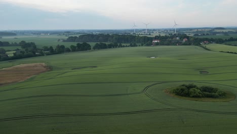 Fling-over-landscape-in-German-wheat-field