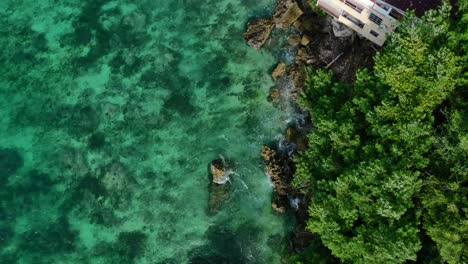 top-down-view-of-green-forest-coastline-with-rocky-turquoise-ocean-shore-in-Uluwatu-Bali,-aerial