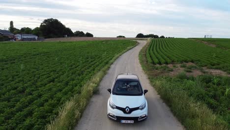 Woman-driving-a-Renault-on-a-dirt-road-between-the-fields-of-Scherpenheuvel,-Belgium