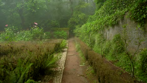 Borde-Del-Parque-Pena-Cubierto-De-Niebla-Misteriosa