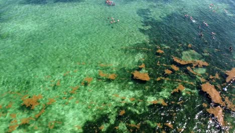 Luftaufnahme-Von-Kristallklarem-Wasser-Im-Akumal,-Tulum,-Quintana-Roo,-Mexiko