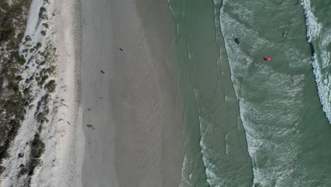 Kite-Surf-Aéreo-De-Arriba-Hacia-Abajo-En-La-Playa-De-Big-Bay-En-Ciudad-Del-Cabo,-Sudáfrica