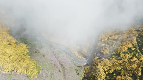 Foggy-Sky-Over-Mountain-Road-At-Pico-do-Arieiro-In-Madeira-Island,-Portugal