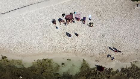 Luftaufnahme-Einer-Gruppe-Beim-Eisbaden-Am-Strand-Von-Playa-Del-Carmen,-Mexiko
