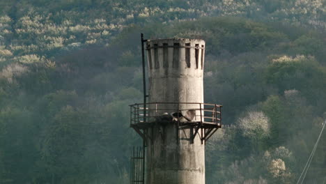 Industrial-water-cooling-tower-in-Romania-4