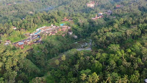 Luftaufnahme-Von-Tegallalang-Reisterrassen-Bei-Sonnenaufgang,-Umgeben-Von-Tropischem-Dschungel-In-Ubud-Bali