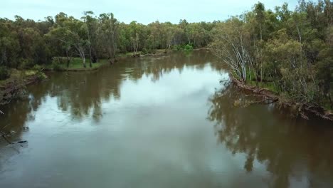 Sideways-aerial-footage-of-the-Murray-River-and-eucalypt-forest-north-of-Corowa,-Australia
